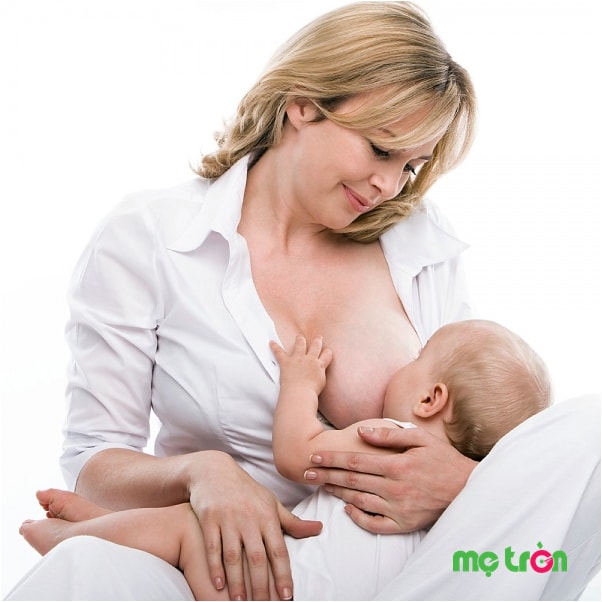 Miếng lót thấm sữa là vật dụng rất cần thiết đi cùng với các mẹ ngay từ những ngày mang thai
